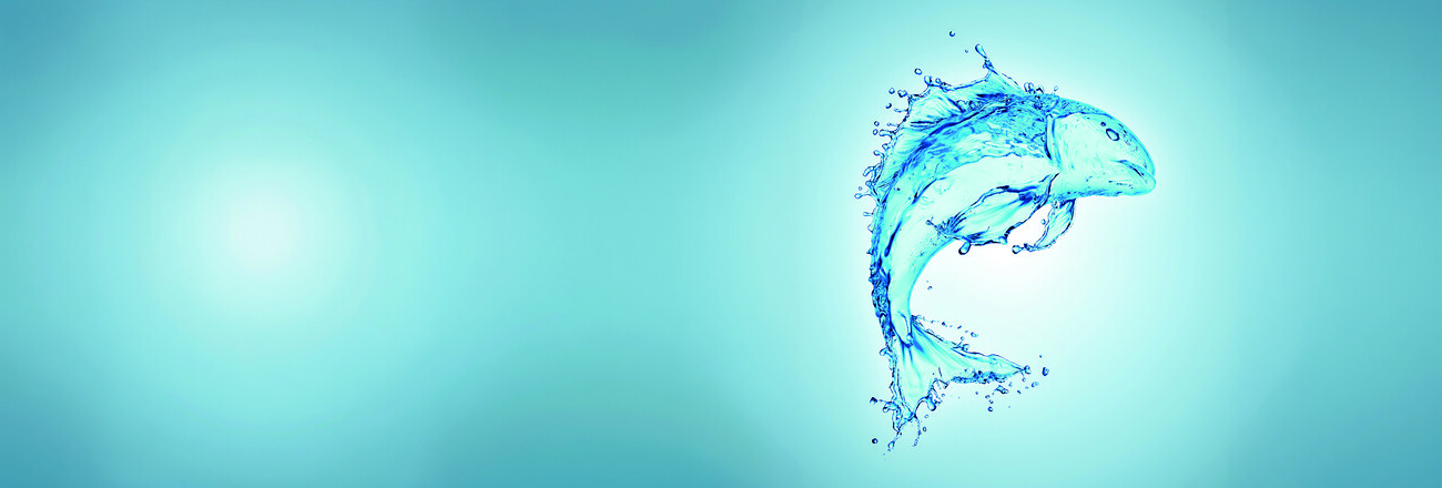 Aquaculture-2026-campaign-home-stage-story