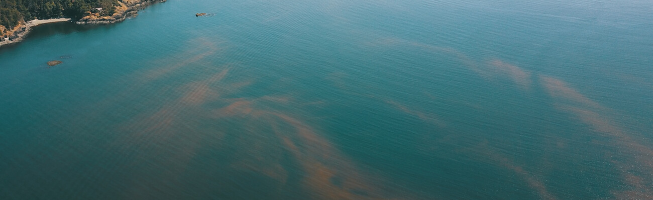 KAESER Know How blog post: Mitigating the impact of HABs on aquaculture with compressed air - part 2