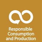 Promoting sustainable consumption and production patterns, using resources efficiently (SDG 12)