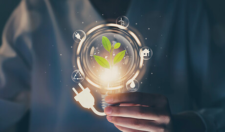 Blog Feb 25 - Sustainability - Image 1