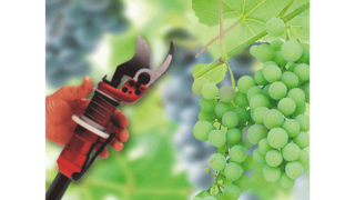 KAESER industrial reciprocating compressors in the wine-making industry.